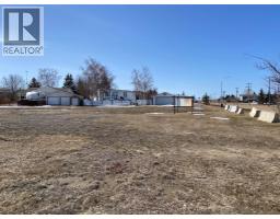 101 Fielding Place, Hanna, AB T0J1P0 Photo 9