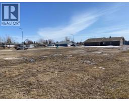 101 Fielding Place, Hanna, AB T0J1P0 Photo 7