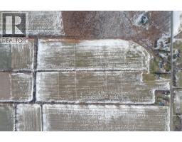 1577 Road 3 West, Kingsville, ON N9Y2E5 Photo 6