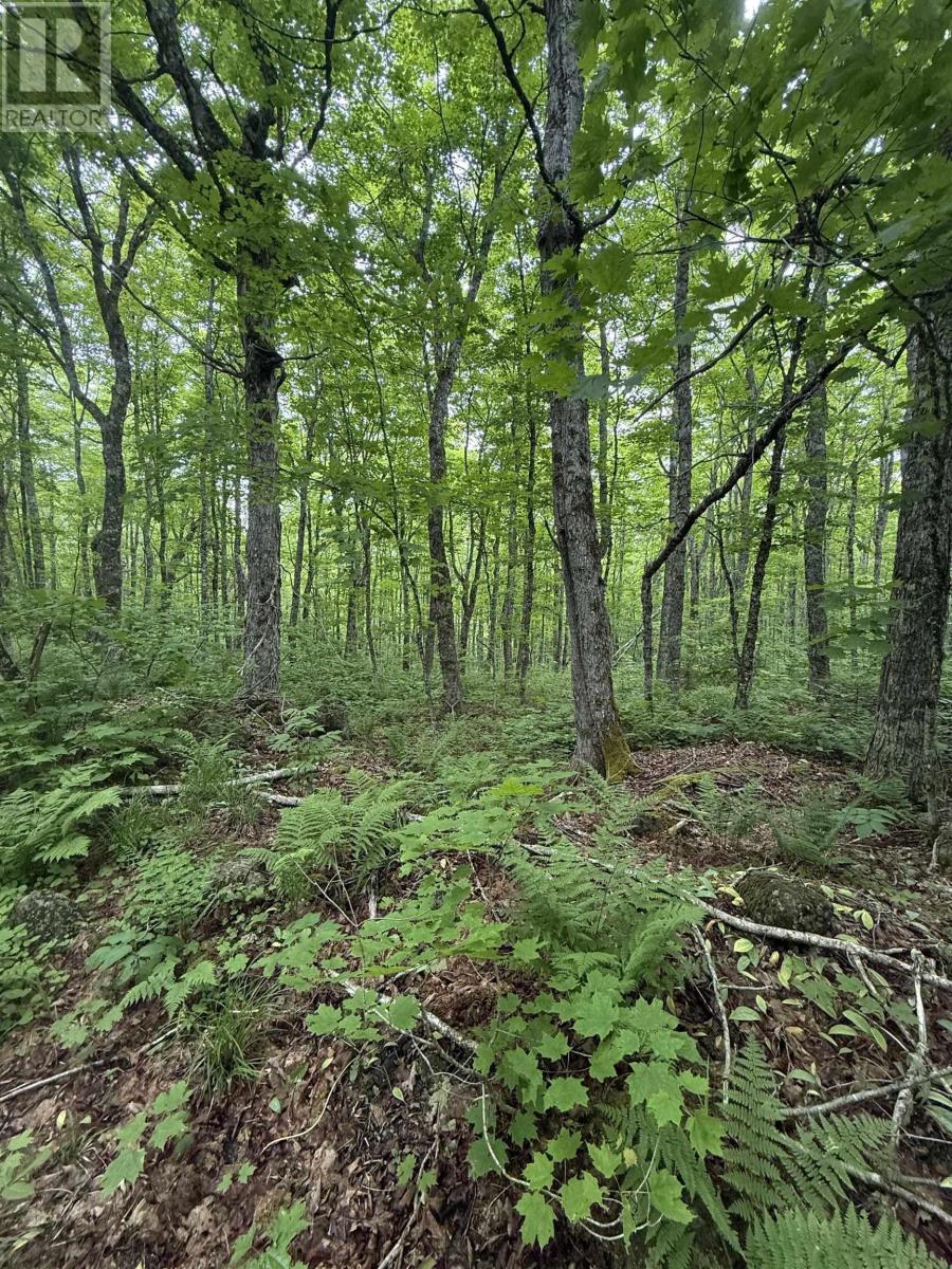 Property 8 of 10 of Lot PID#20098885 Truro Road