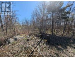 0 Little Crosby Lake Road, Rideau Lakes, ON K0G1X0 Photo 12