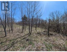 0 Little Crosby Lake Road, Rideau Lakes, ON K0G1X0 Photo 7
