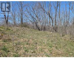 0 Little Crosby Lake Road, Rideau Lakes, ON K0G1X0 Photo 15