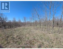0 Little Crosby Lake Road, Rideau Lakes, ON K0G1X0 Photo 13