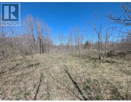 0 Little Crosby Lake Road, Rideau Lakes, ON K0G1X0 Photo 8