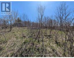 0 Little Crosby Lake Road, Rideau Lakes, ON K0G1X0 Photo 10