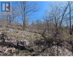 0 Little Crosby Lake Road, Rideau Lakes, ON K0G1X0 Photo 6