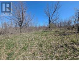 0 Little Crosby Lake Road, Rideau Lakes, ON K0G1X0 Photo 9