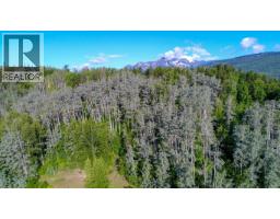 Dl 2953 Pond Road, Kitwanga, BC V0J2A0 Photo 7