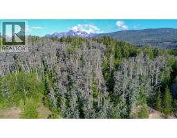 Dl 2953 Pond Road, Kitwanga, BC V0J2A0 Photo 6