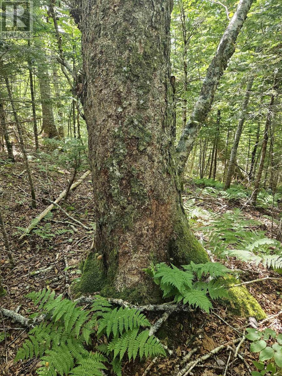 Property 14 of 17 of Hornes Road