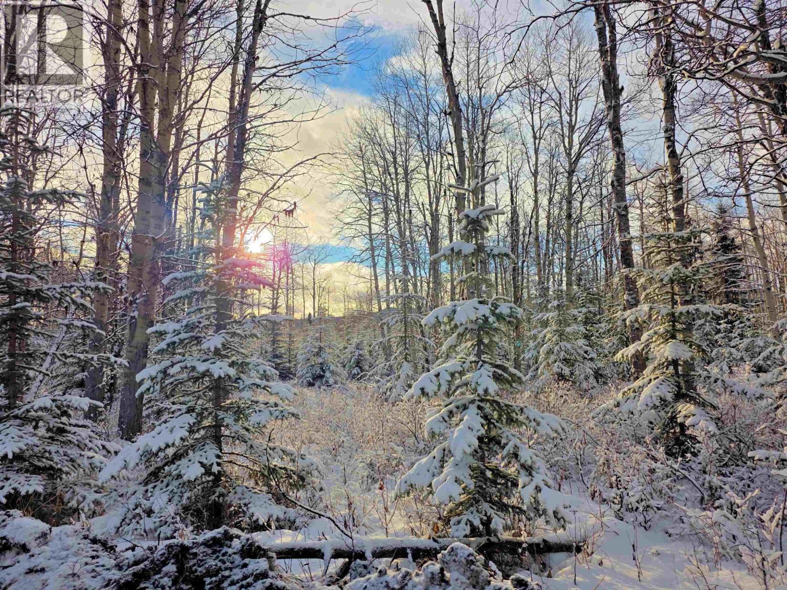 #FRAC-N1/2 DL 2557 BINTA Road, Burns Lake