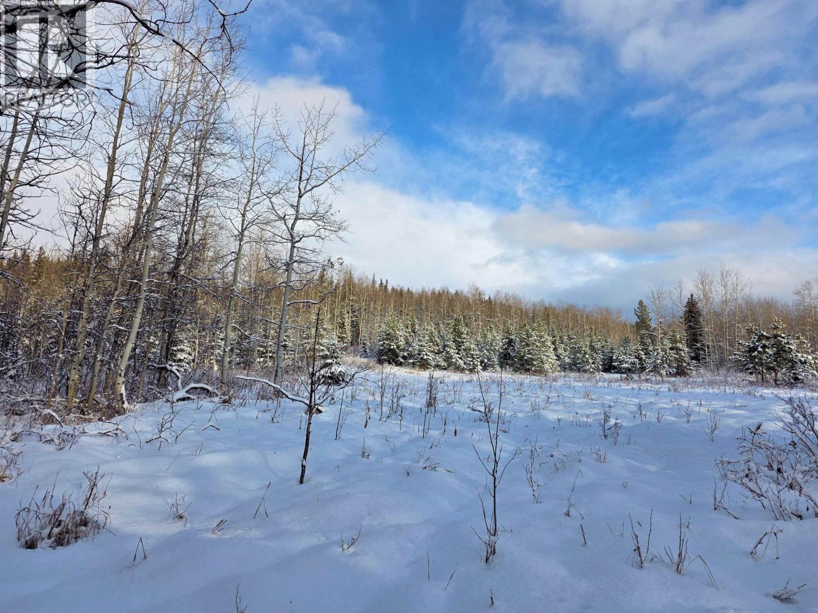 #FRAC-N1/2 DL 2557 BINTA Road, Burns Lake