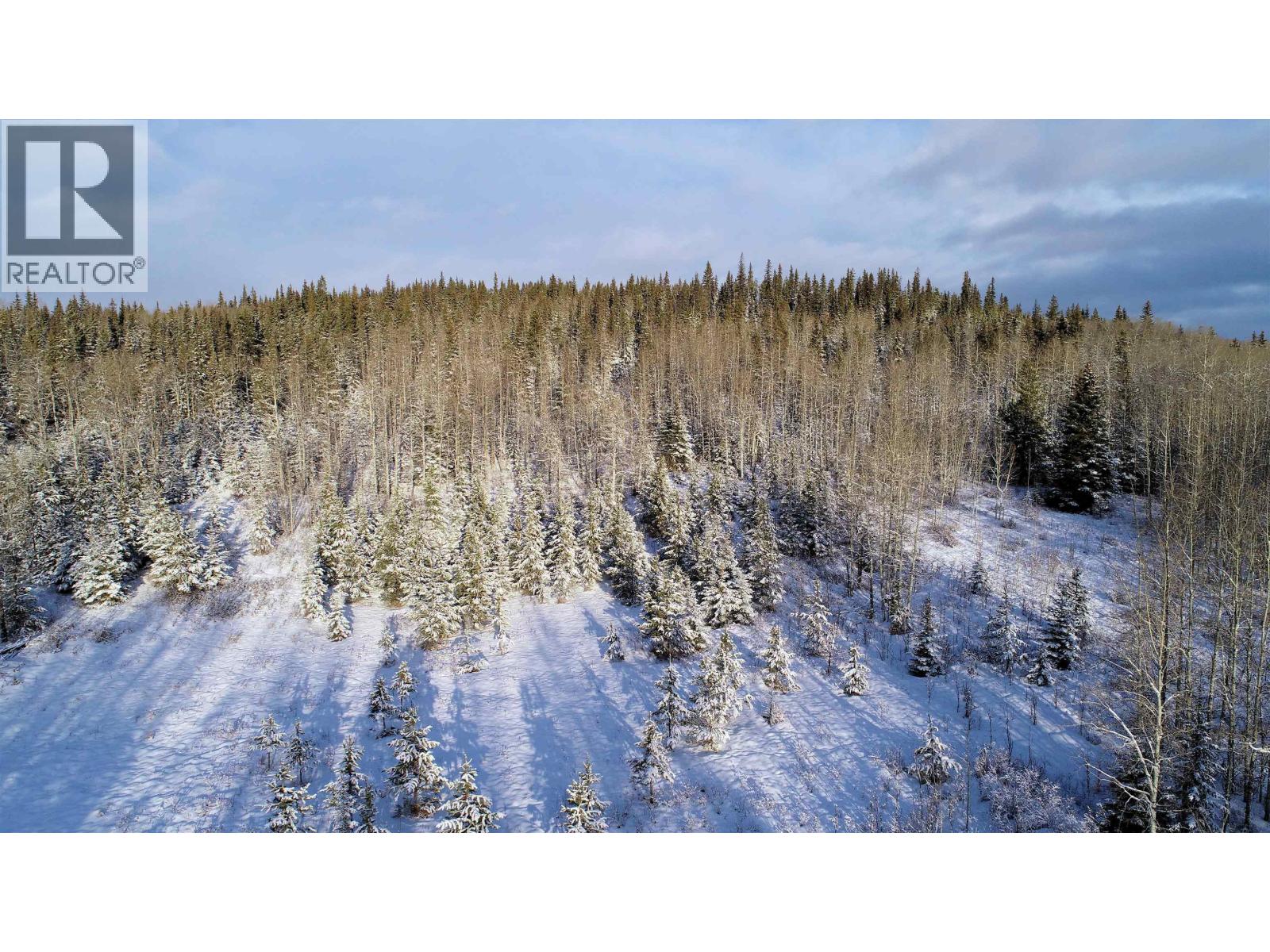 #FRAC-N1/2 DL 2557 BINTA Road, Burns Lake