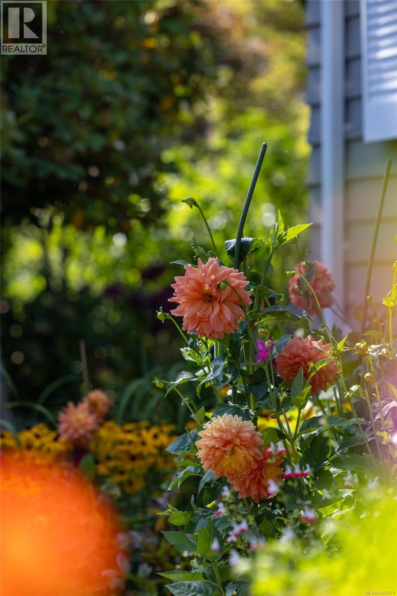  2655 Shady Lane, Oak Bay