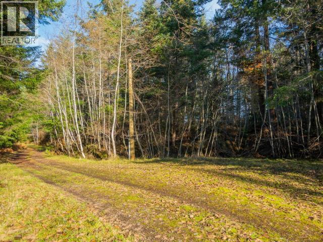 6080 SHELTER POINT ROAD, Texada Island