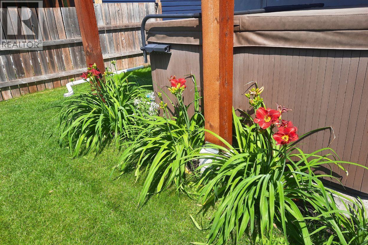 36 Mt Klauer Street, Fernie