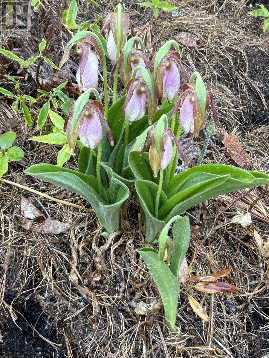 Property 15 of 38 of 11 Lakeshore Drive