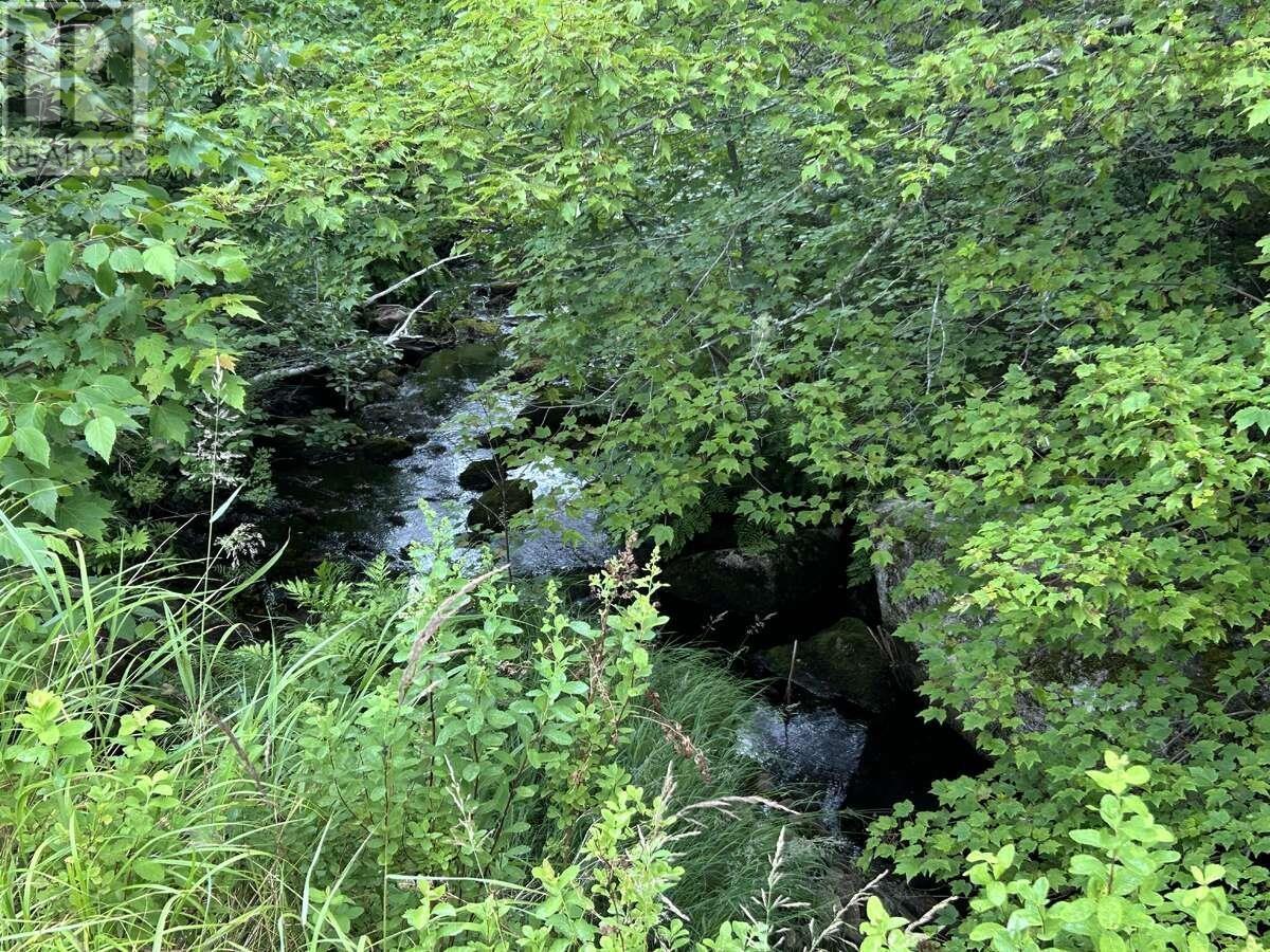 Property 37 of 38 of 11 Lakeshore Drive