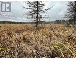 Pcl 7576 0 N, Dryden, ON P0V1P0 Photo 18