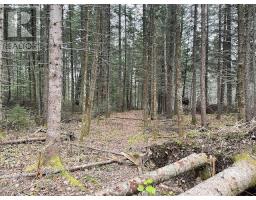 Pcl 7576 0 N, Dryden, ON P0V1P0 Photo 7