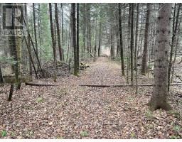 Pcl 7576 0 N, Dryden, ON P0V1P0 Photo 8