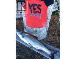 Lot 1 Nootka Island, Nootka Island, BC V0P2A0 Photo 33