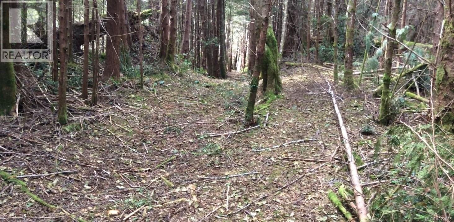 LOT 2 Nootka Island — photo 6