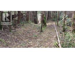 Lot 2 Nootka Island, Nootka Island, BC V0P1X0 Photo 6