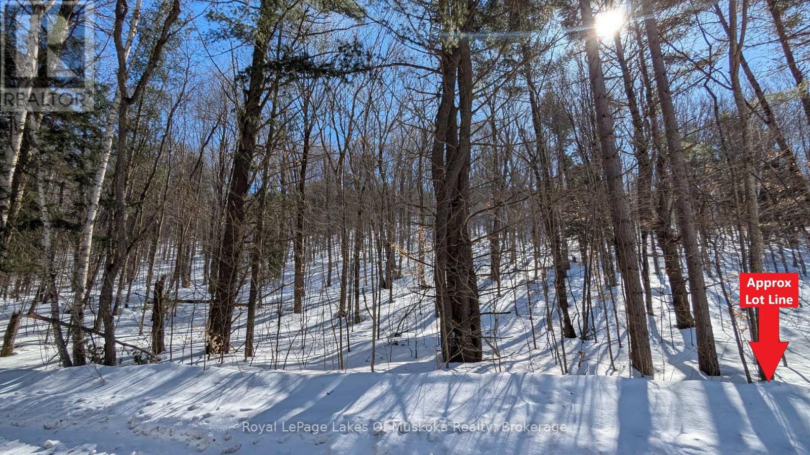 0 ROSSEAU LAKE RD 1 - Photo 2 of 8, Muskoka Lakes (Watt), Ontario