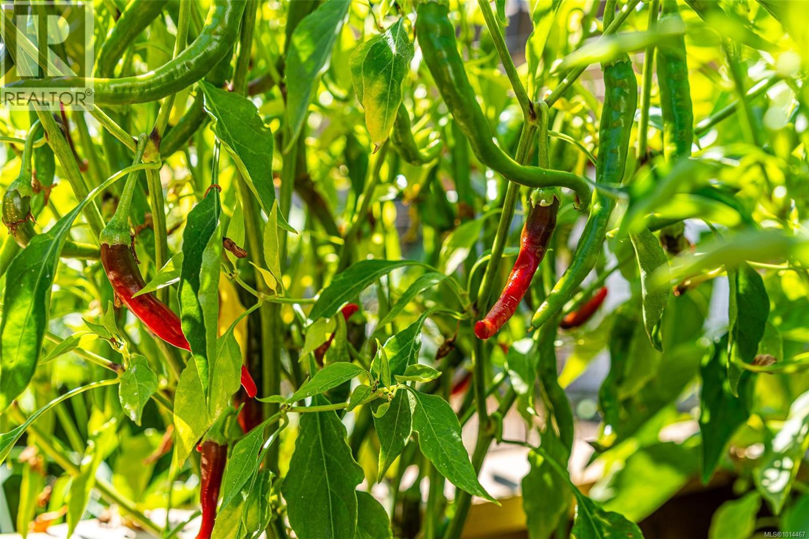  1405 Fisher Road, Cobble Hill