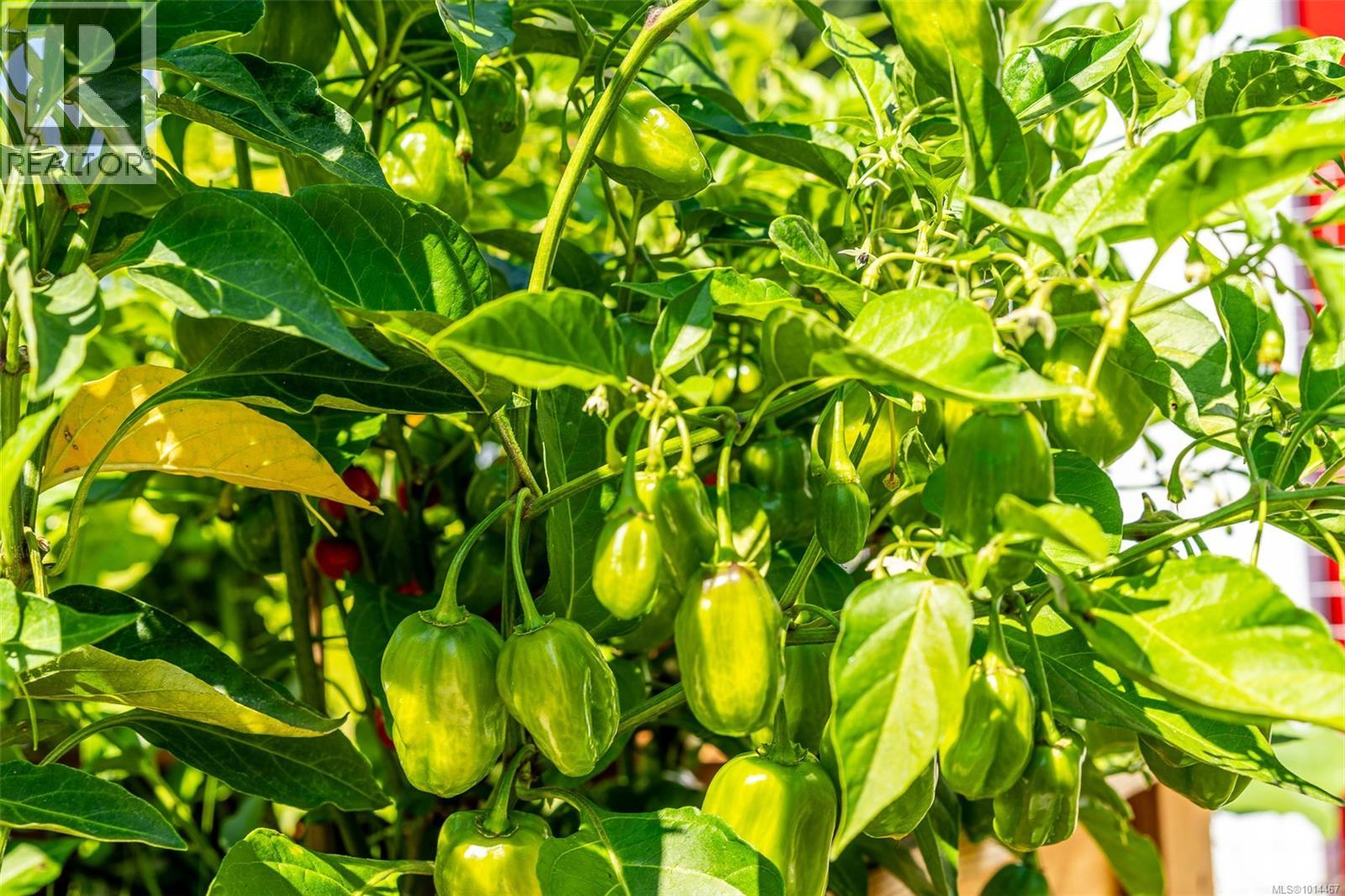  1405 Fisher Road, Cobble Hill