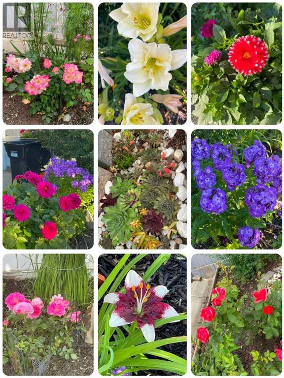 Single Family House for Sale in  Evanspark Gardens NW Evanston Calgary 