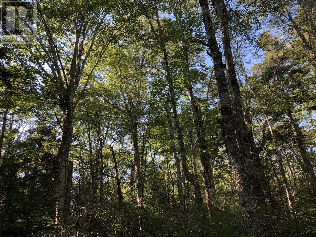 Property 16 of 29 of Acreage NO 101 Highway