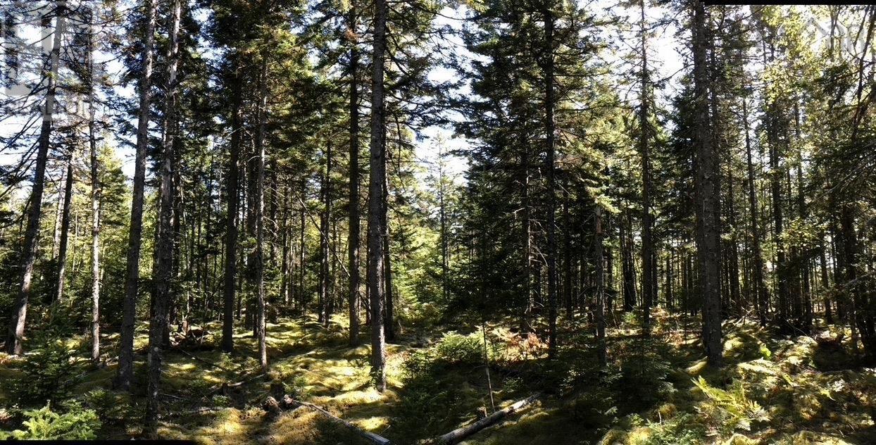 Property 5 of 29 of Acreage NO 101 Highway