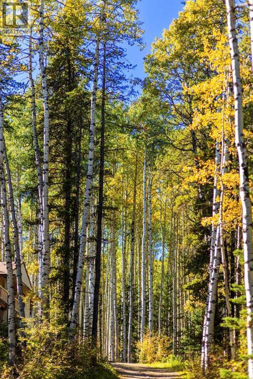 231031 Forestry Way, Bragg Creek