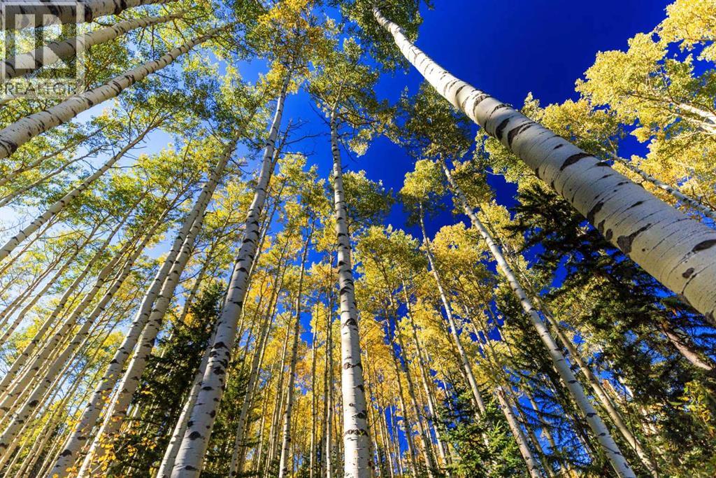 231031 Forestry Way, Bragg Creek