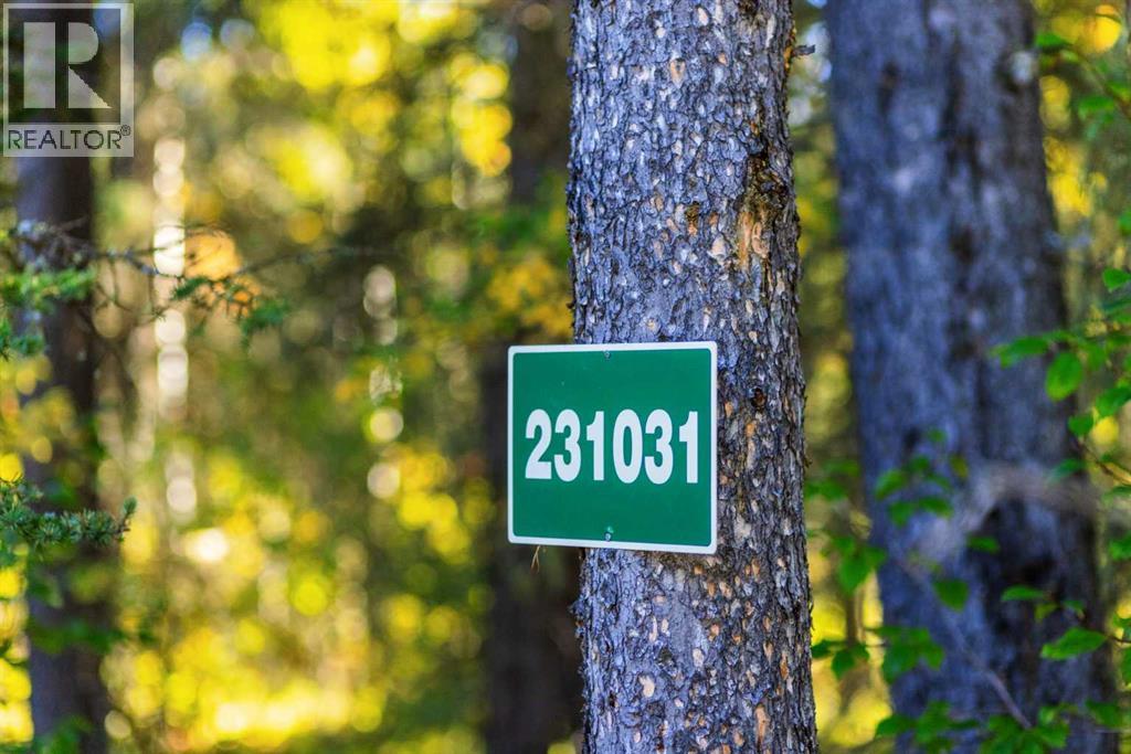 231031 Forestry Way, Bragg Creek