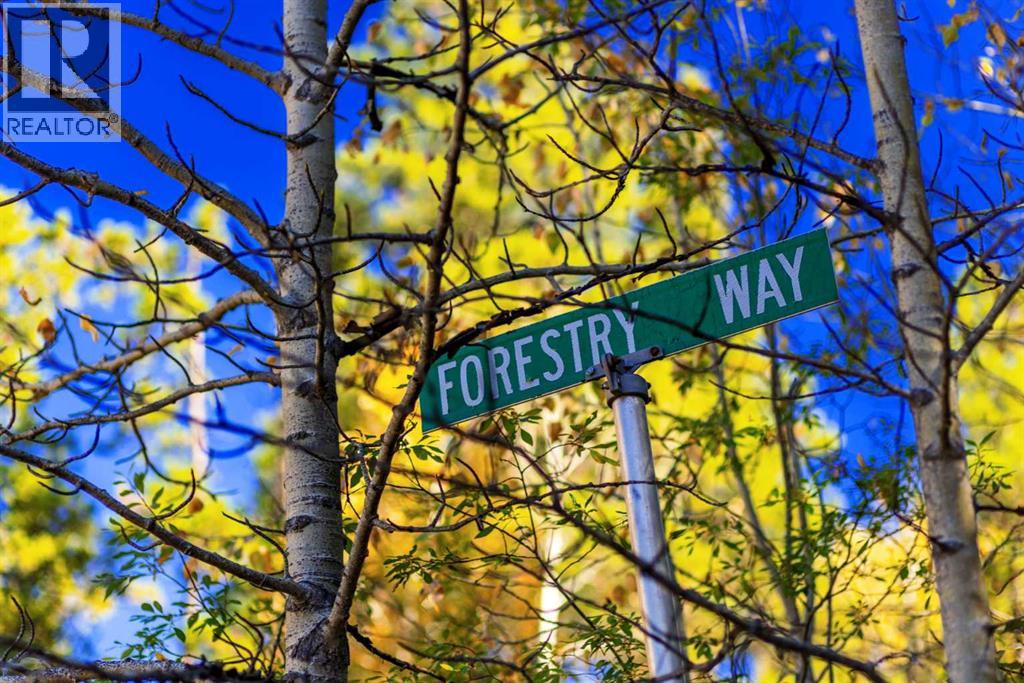 231031 Forestry Way, Bragg Creek