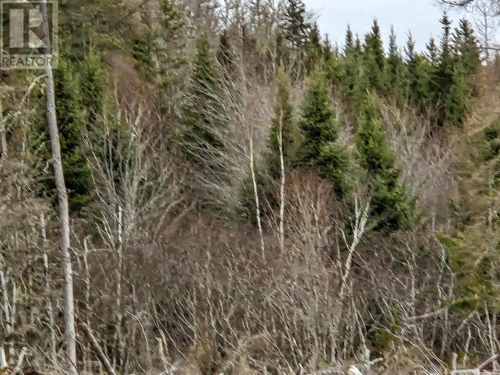 Property 4 of 4 of Lot ECONOMY RIVER Road