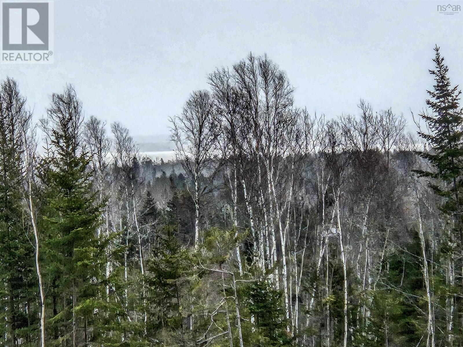 Property 3 of 4 of Lot ECONOMY RIVER Road