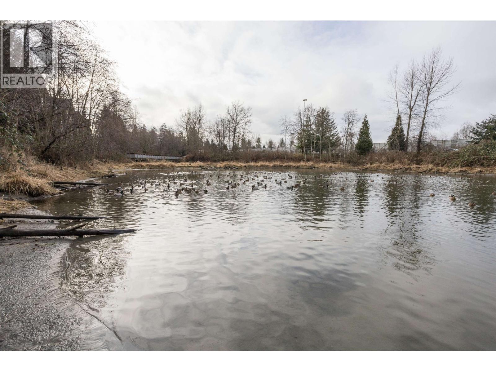 315 12565 190A STREET, Pitt Meadows