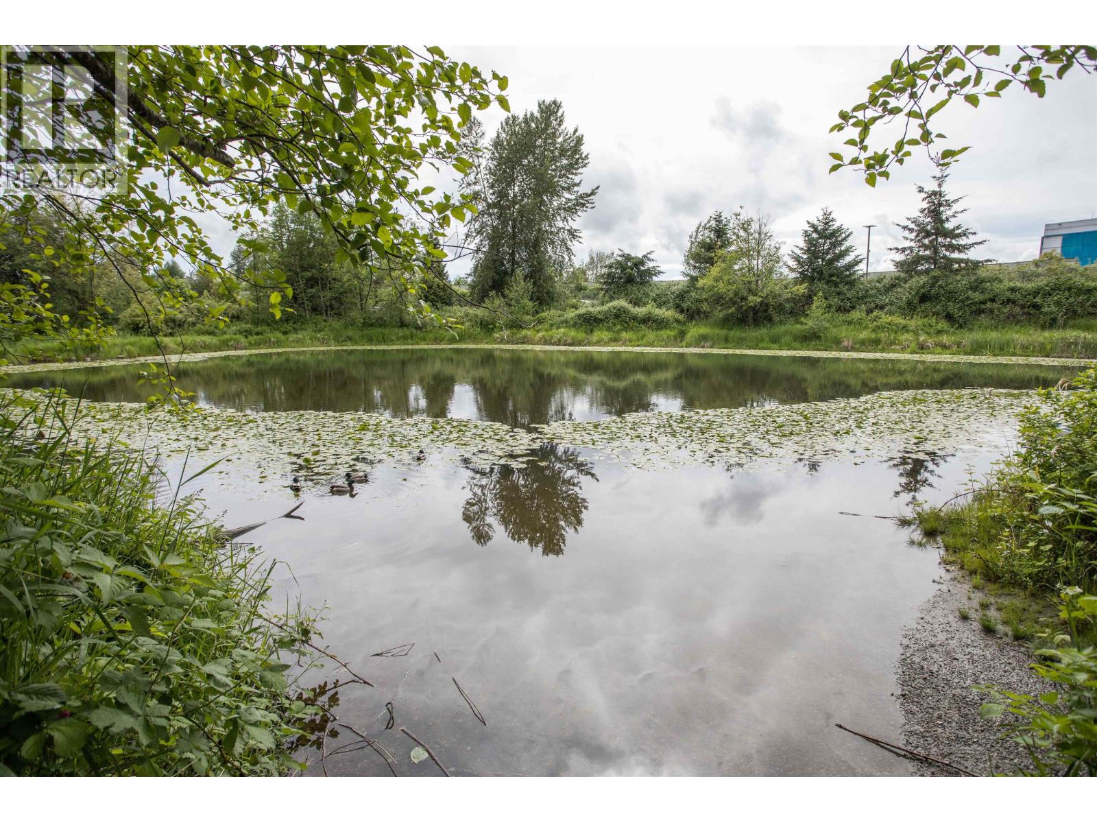 315 12565 190A STREET, Pitt Meadows