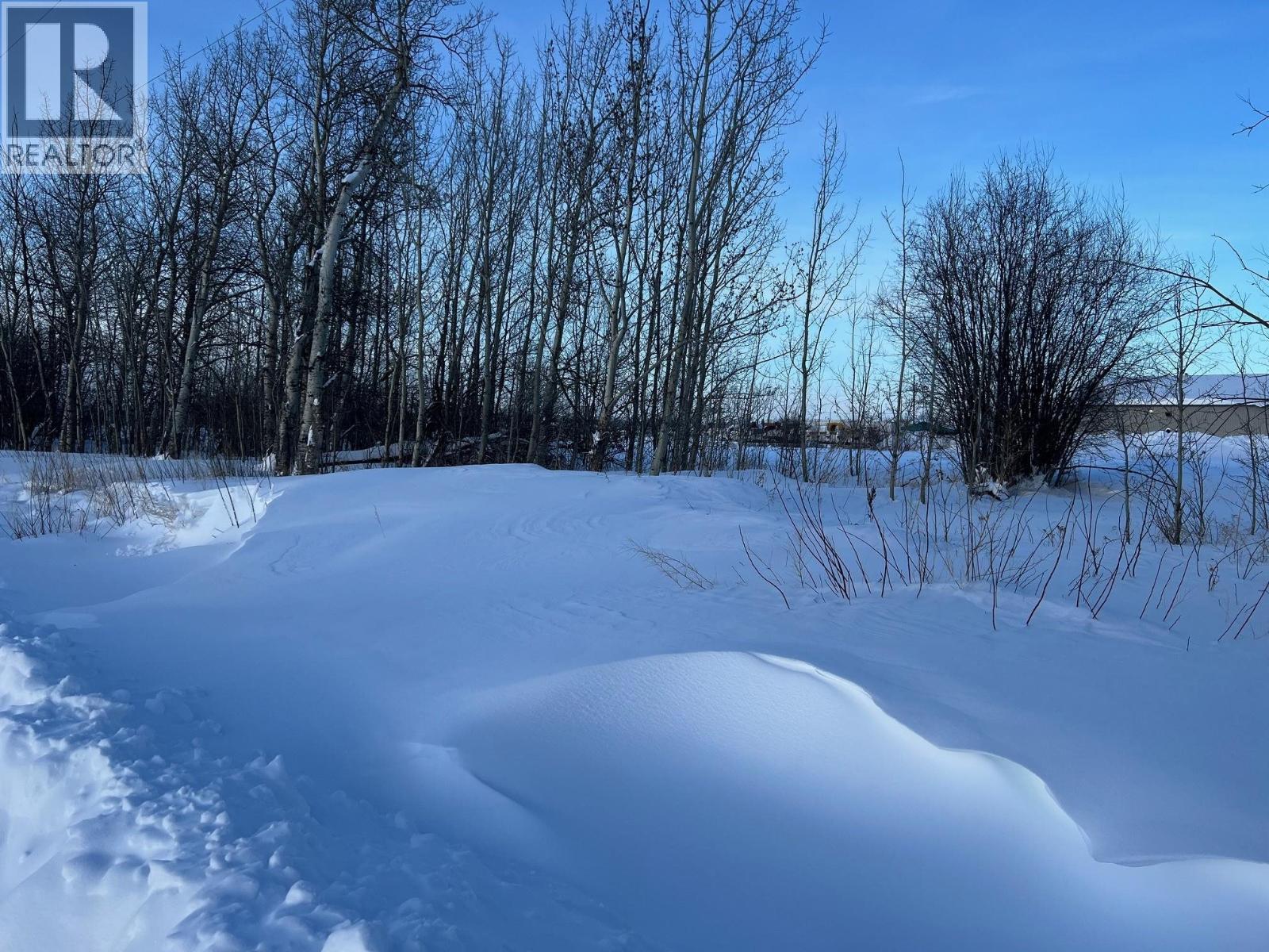 8511 NORTHERN LIGHTS DRIVE, Fort St. John