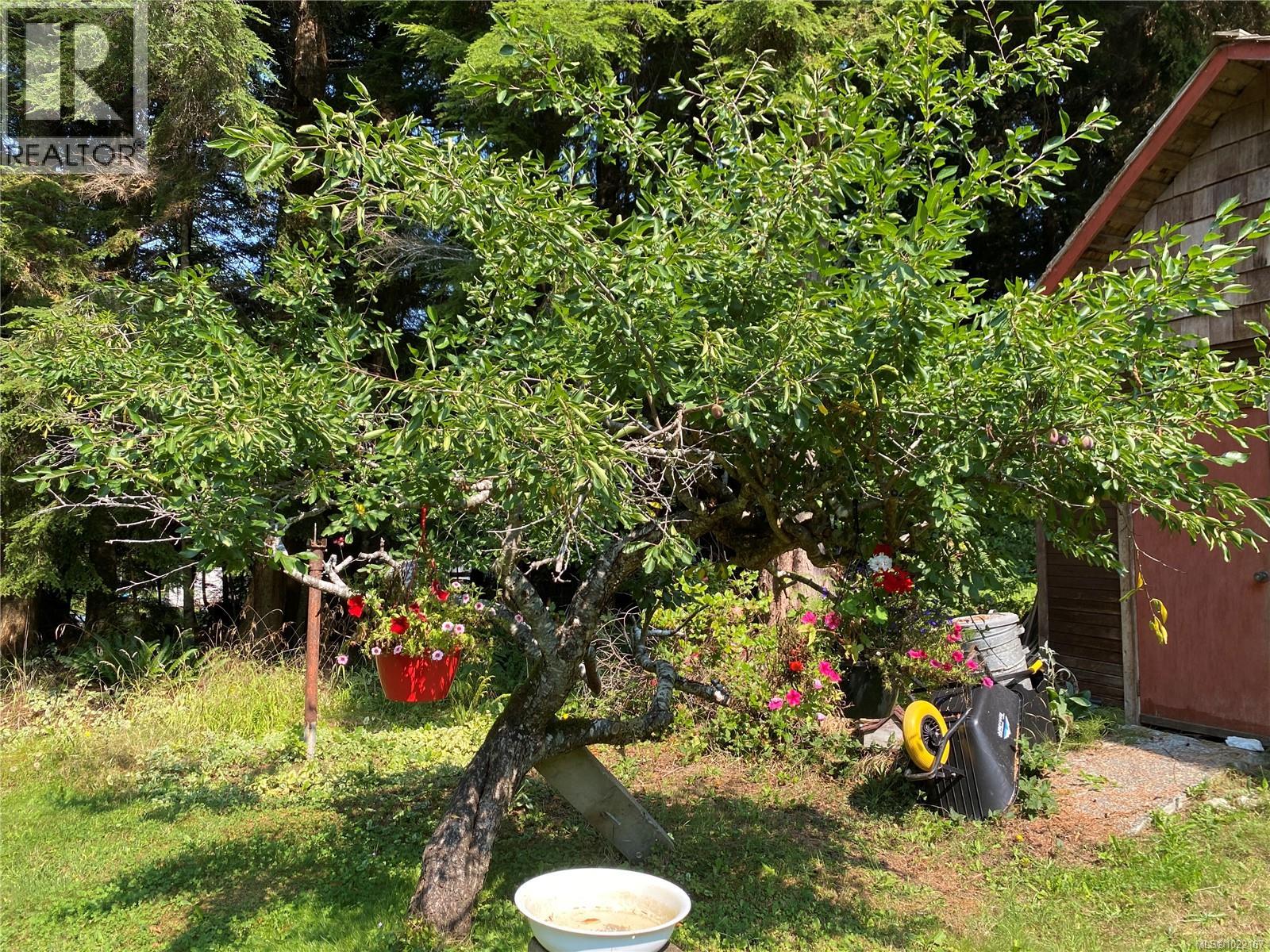 801 NIMPKISH HEIGHTS RD - 17