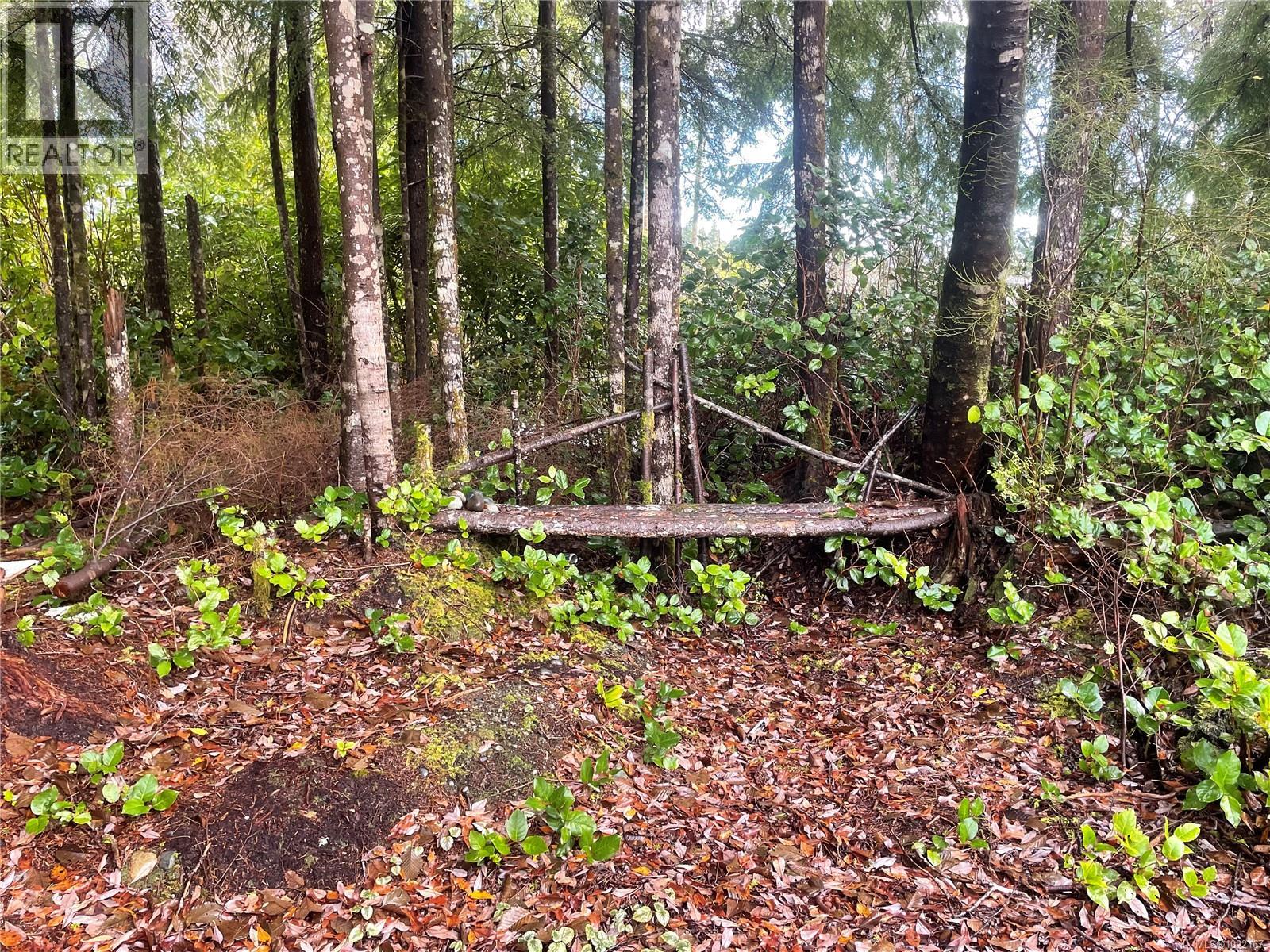 801 NIMPKISH HEIGHTS RD - 25