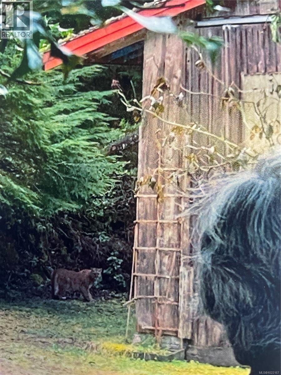 801 NIMPKISH HEIGHTS RD - 61