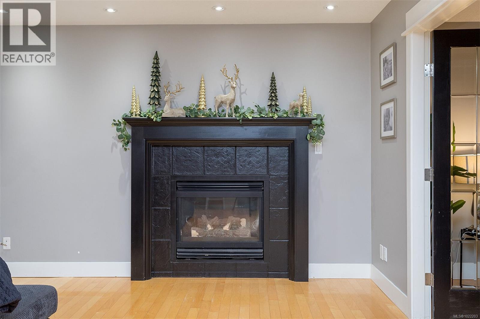 3649 Holland Ave, Cobble Hill