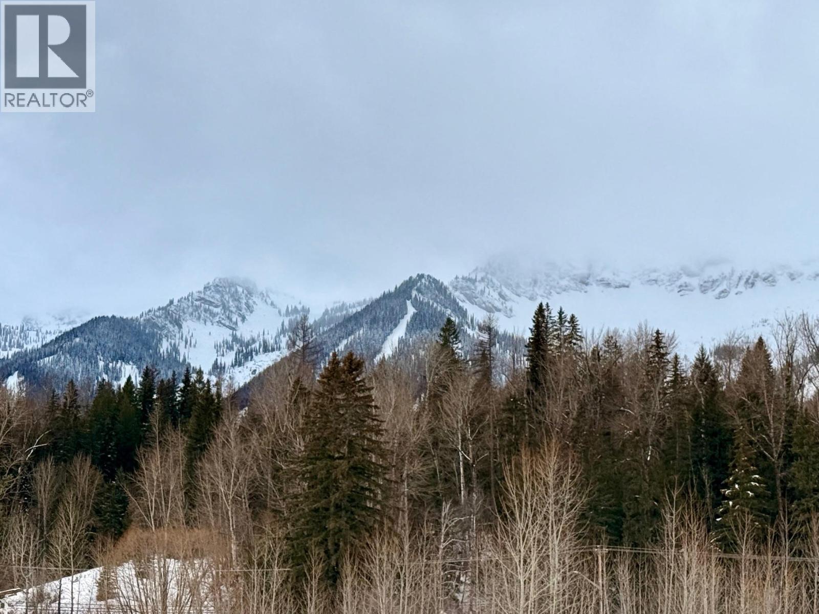 47 Rivermount Place Unit# 101B, Fernie