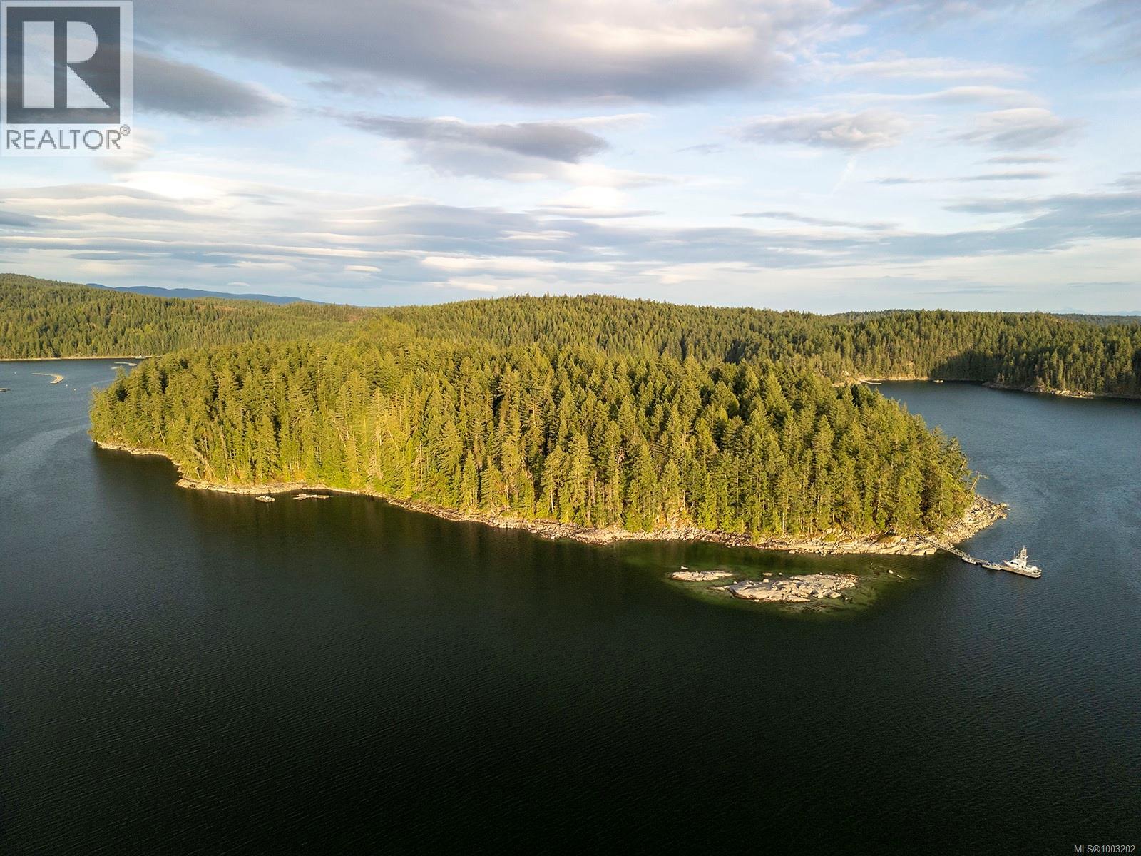 0 TAN ISLAND - Image 2